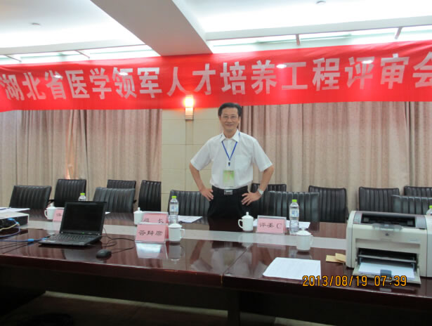 2013年08月湖北省医学领军人才培养工程评审会上