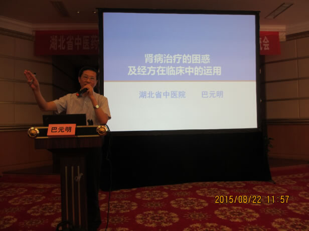 2015年08月在湖北省中医药学会肾病分会上作大会发言