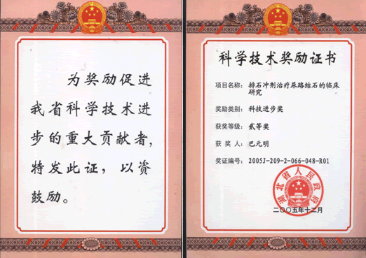 湖北省人民政府科学技术进步二等奖