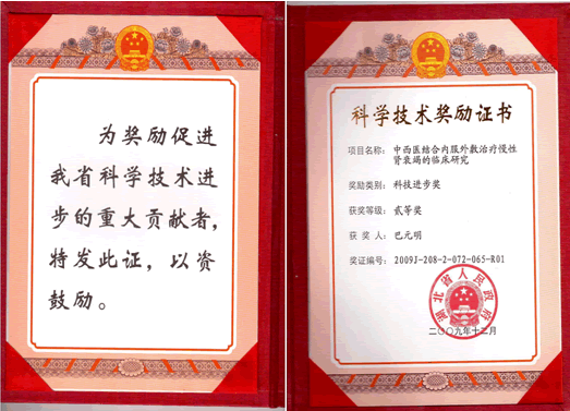 湖北省人民政府科学技术进步二等奖